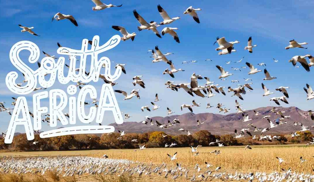 Finanzierungsnachweis für die Immigration nach Südafrika
